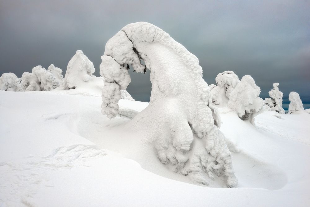 Photograph by Евгений Дробжев