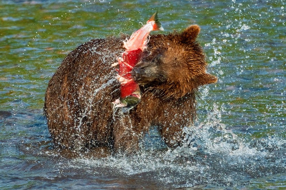 Photograph by Юрий Гордонов