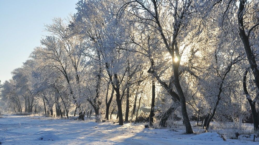 Photograph by Лариса Стрекулева