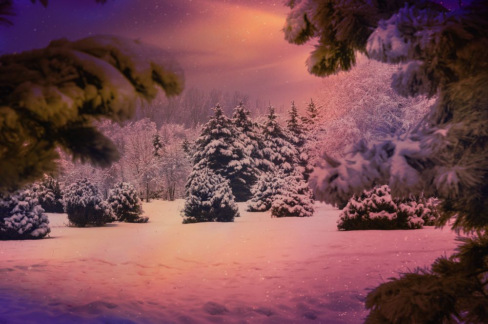 Photograph by Татьяна Колесникова