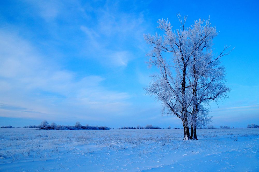 Photograph by Павел Колеснев