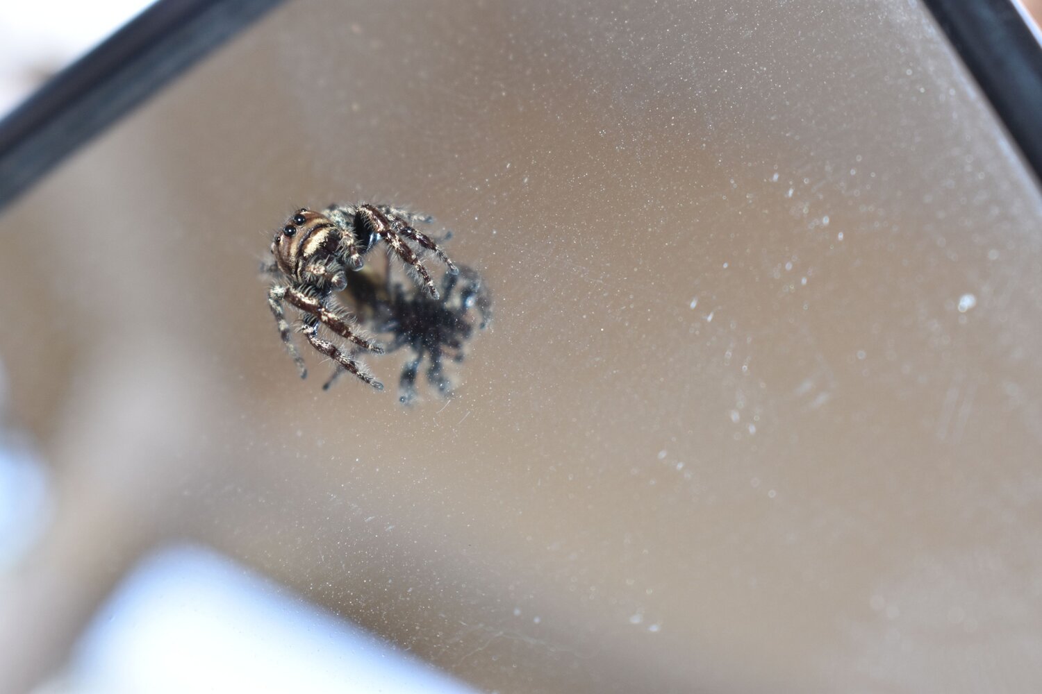 Photo #7195562