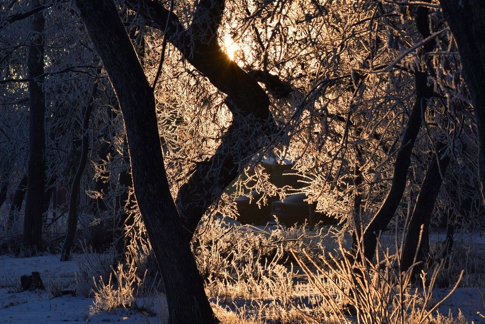 Photograph by Лариса Стрекулева