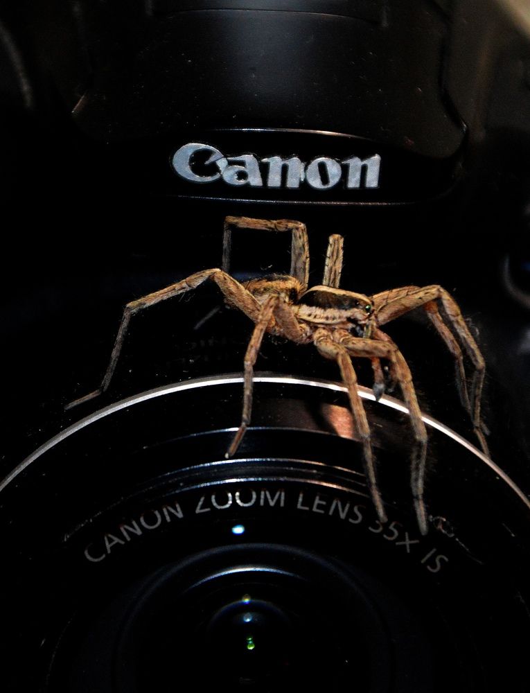 Photograph by Сокол Евгений