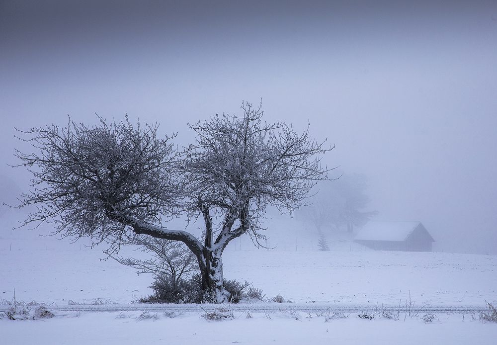 Photograph by Klas Gustafsson