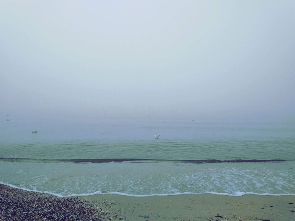 Photograph by Litvinova Ann