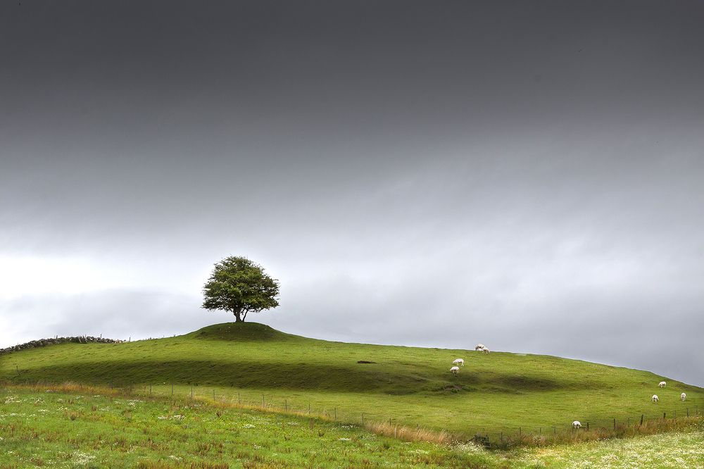 Photograph by Klas Gustafsson