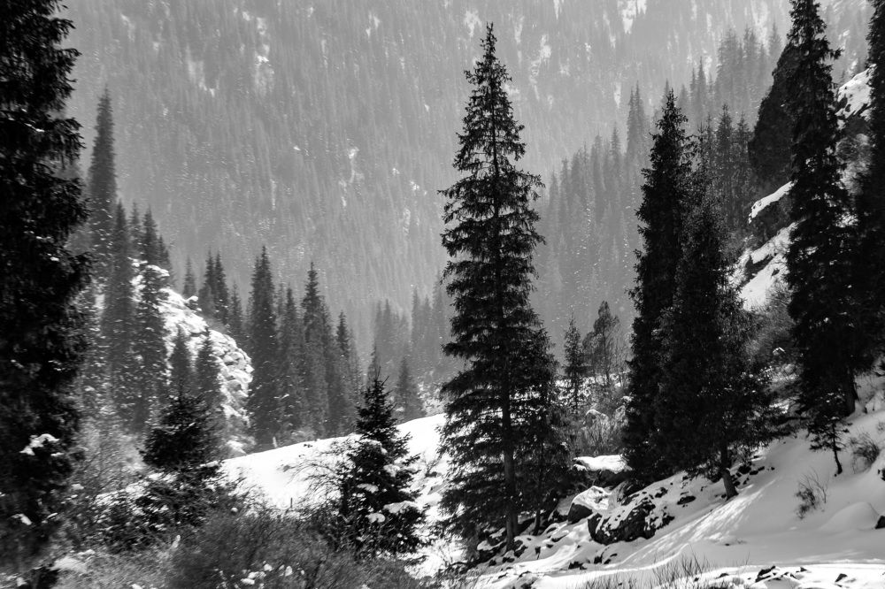 Photograph by Василий Шумкин