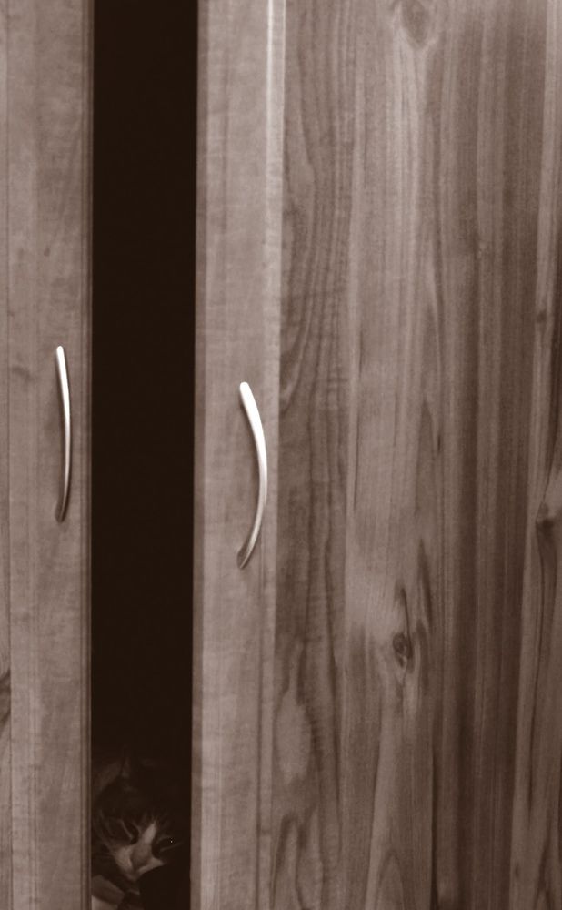 Photograph by Наталья Егорова