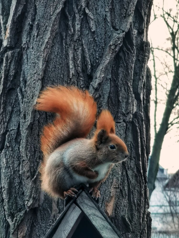 Photograph by Андрей Тур