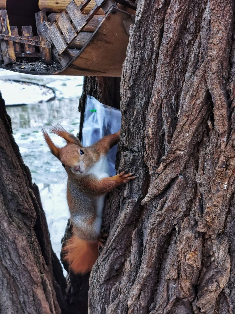 Photograph by Андрей Тур