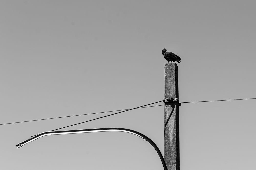 Photograph by Diego Santos