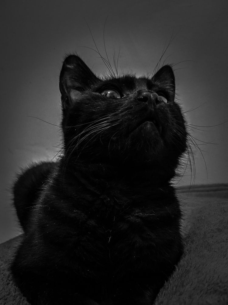 Photograph by Георгий Акопджанов