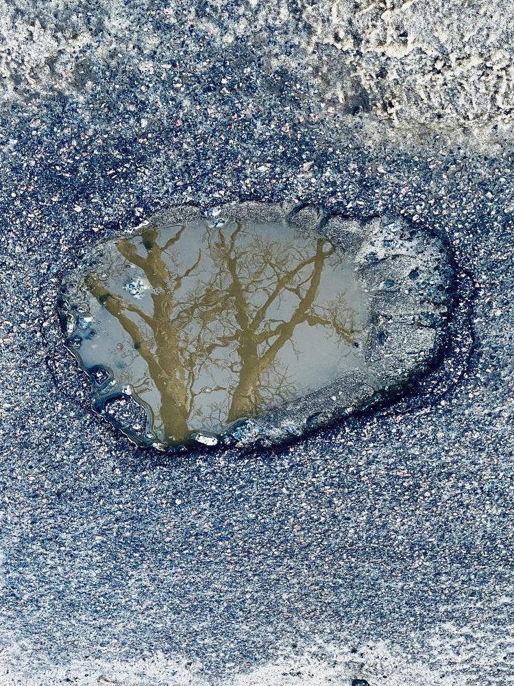 Photograph by Anna Haidukova