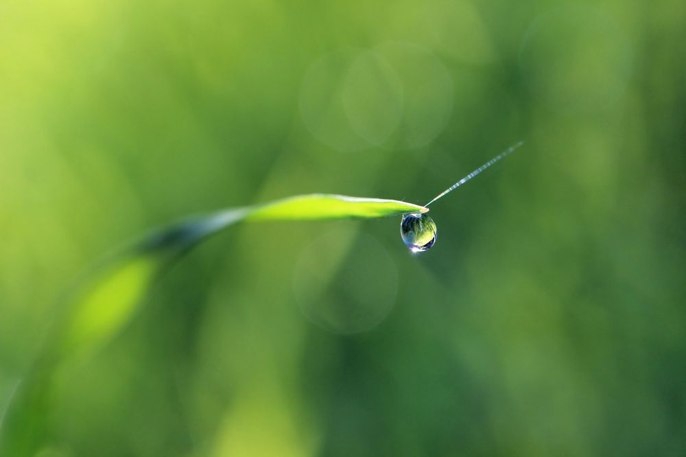 Photograph by Любовь Саханова