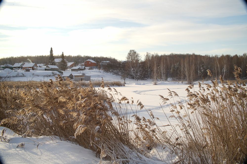 Photograph by Алина Брагина