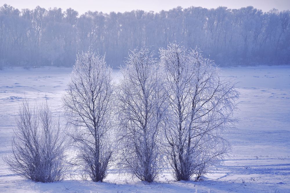Photograph by Сергей Стукен