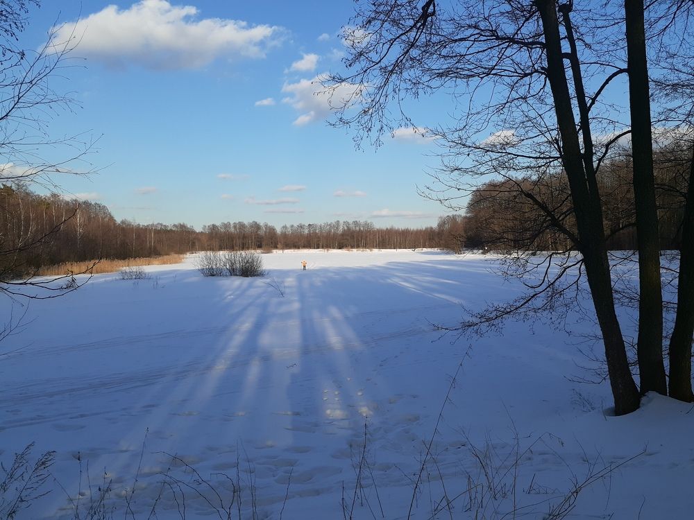 Photograph by Владимир Носов