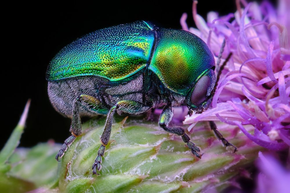 Photograph by Сергей Алтуфьев