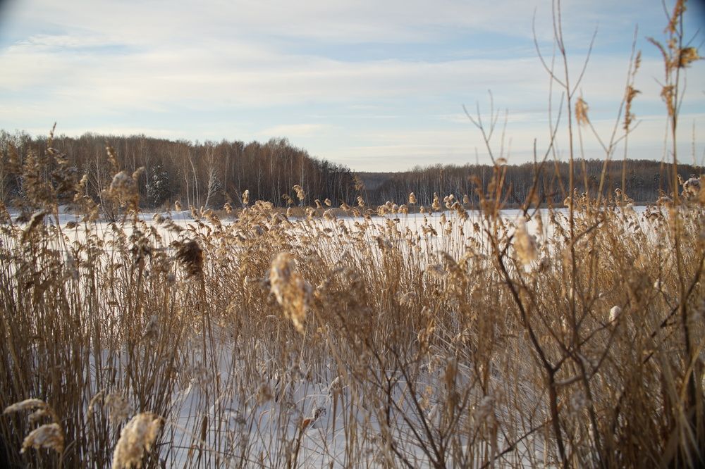 Photograph by Алина Брагина