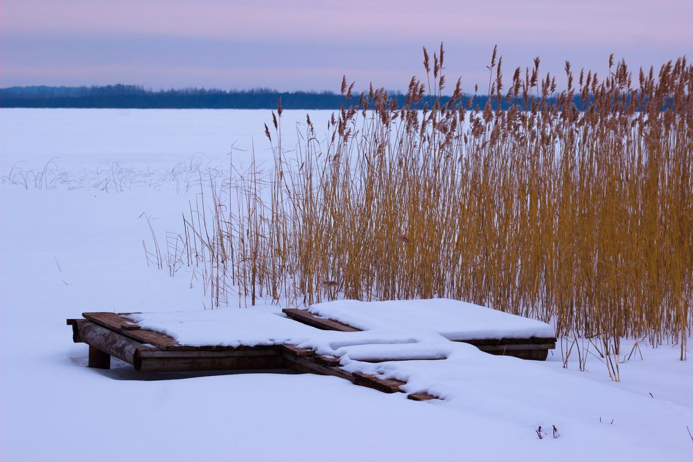 Photograph by Дмитрий Котов