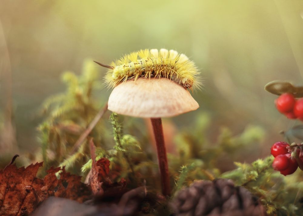 Photograph by Анастасия Третьякова