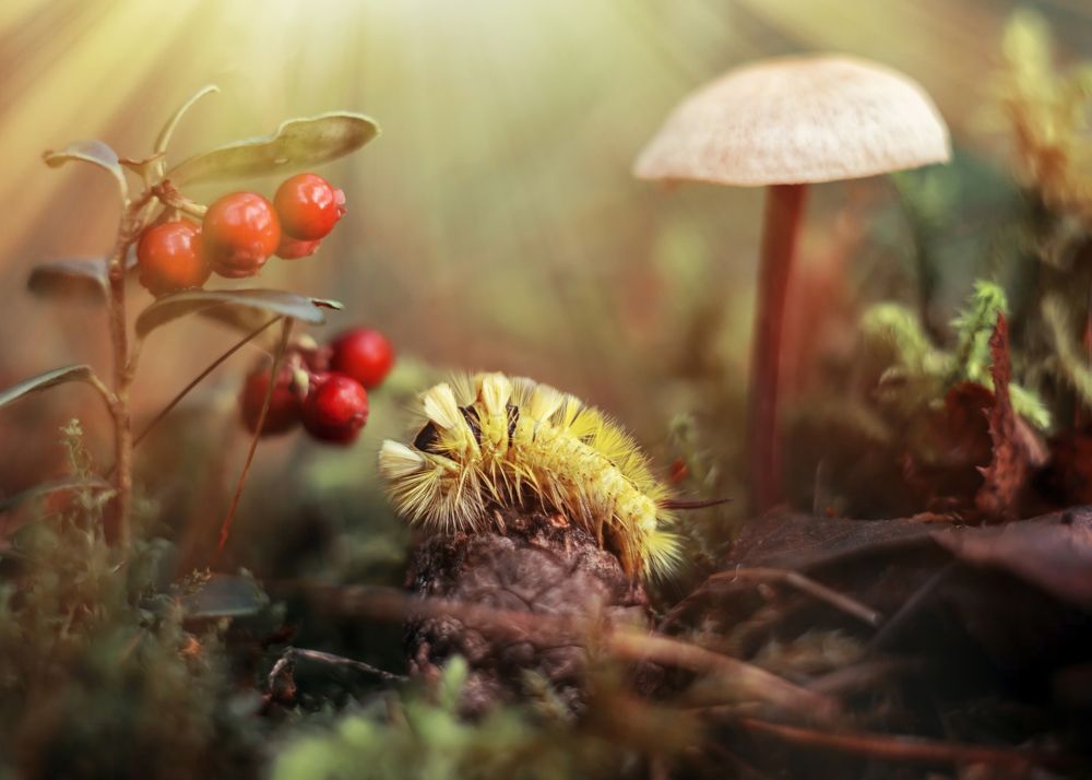 Photograph by Анастасия Третьякова