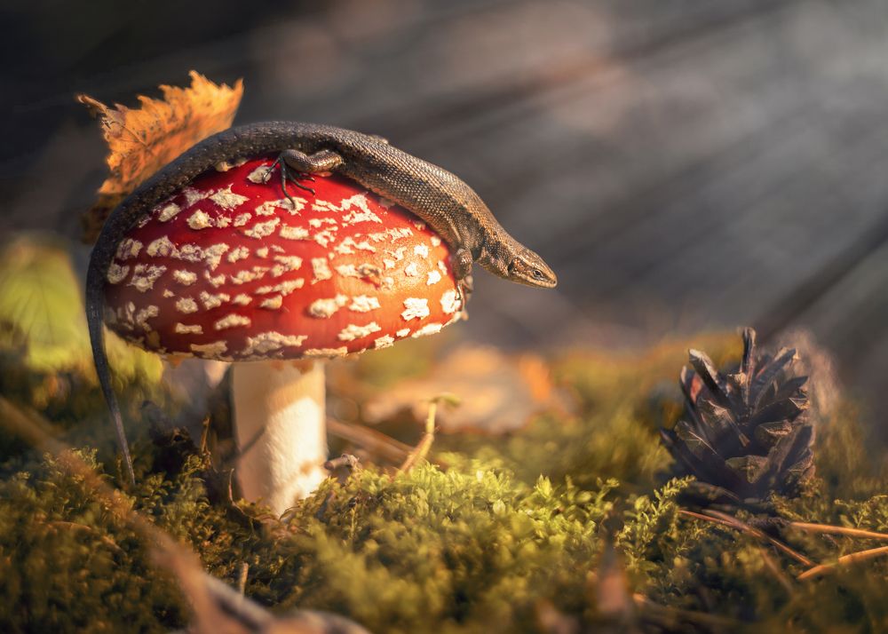 Photograph by Анастасия Третьякова