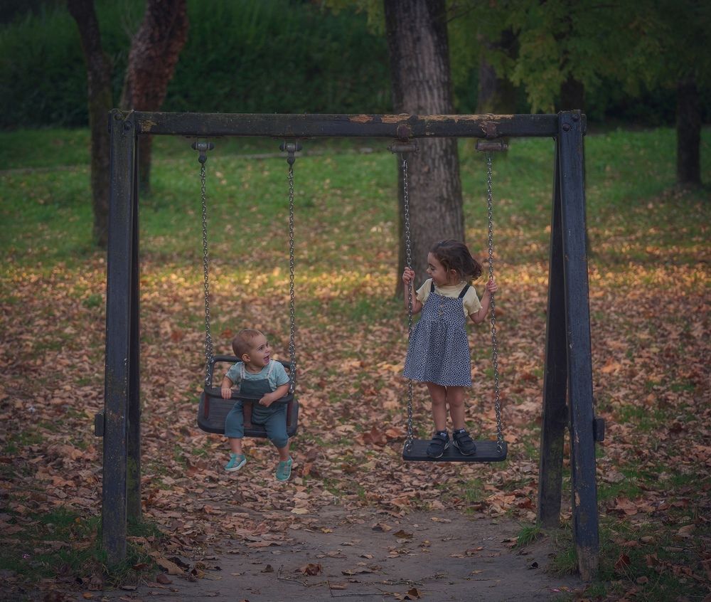 Swings in the autumn forest