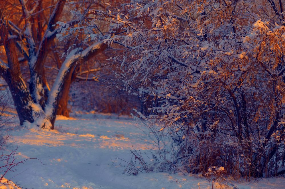 Photograph by Олег Бунеев