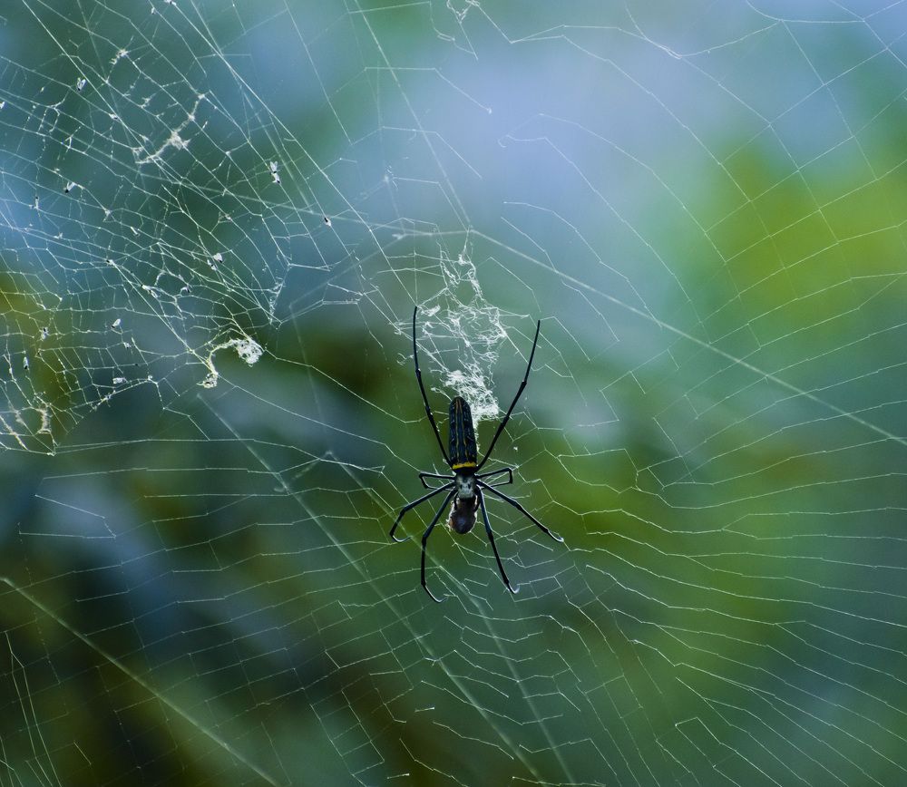 Photograph by Sourav Paul