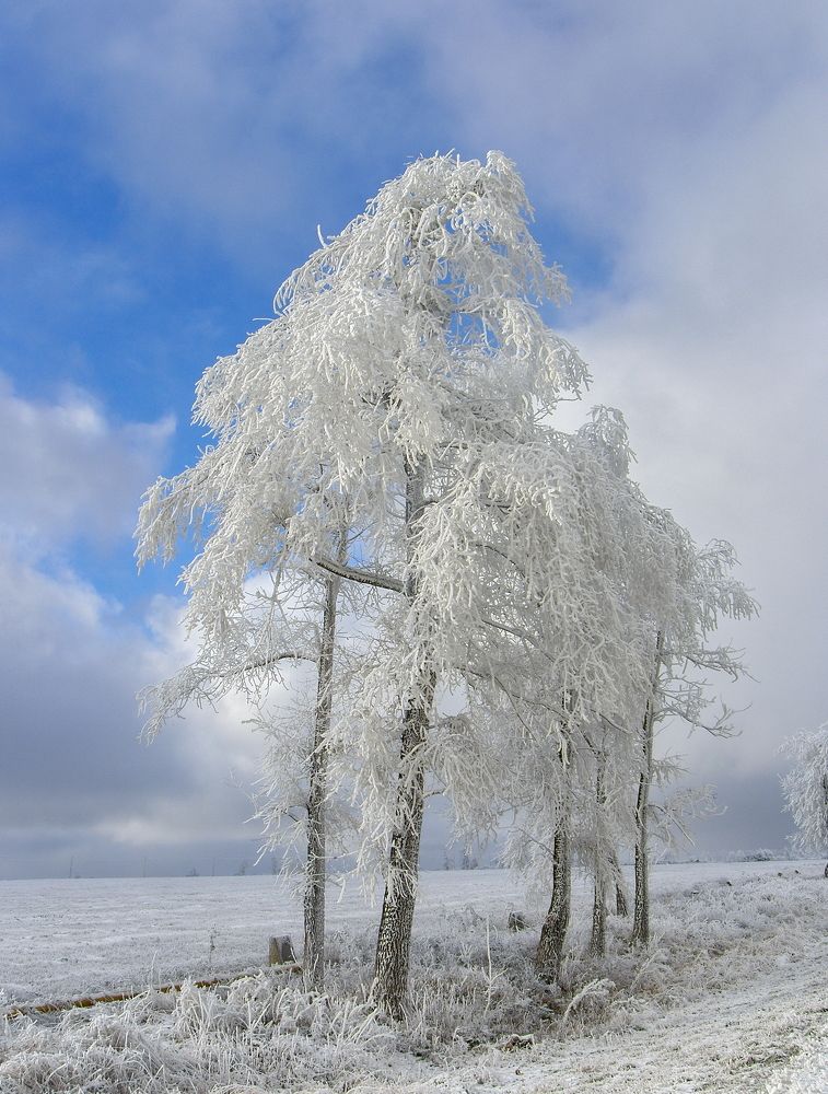 Photograph by Арсен Алабердов