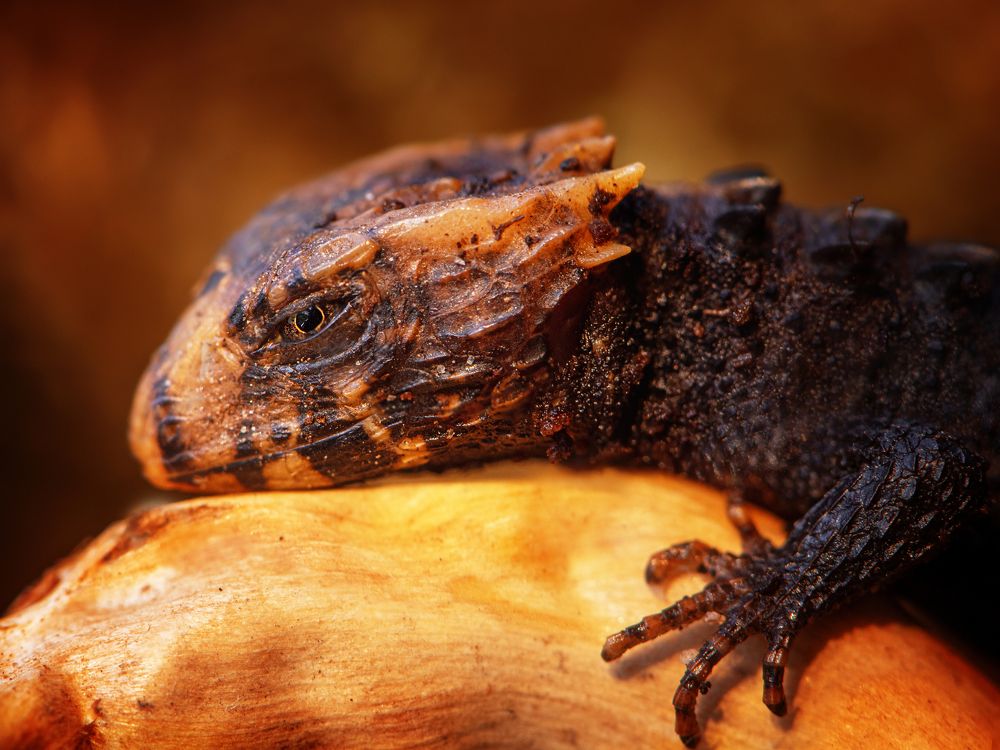 Photograph by Анастасия Третьякова