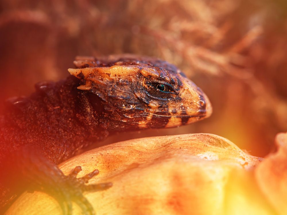 Photograph by Анастасия Третьякова