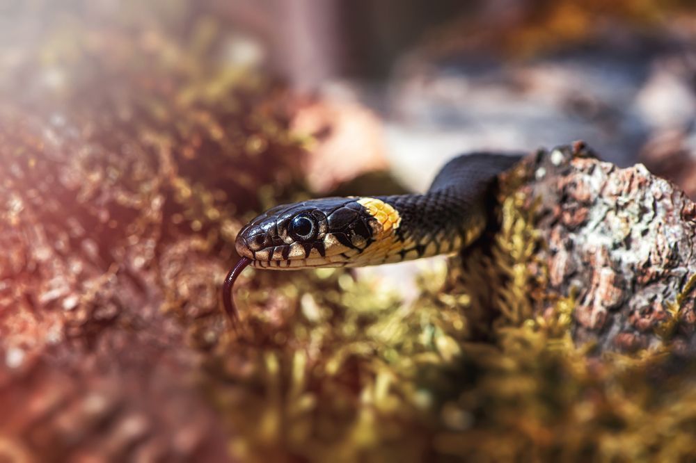 Photograph by Анастасия Третьякова