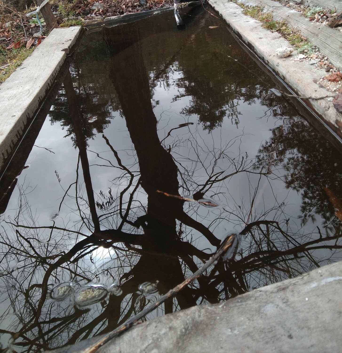 Photo #7196030