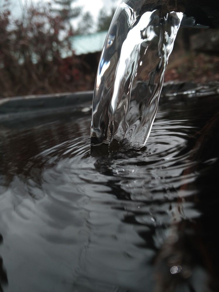 Photo #7196060