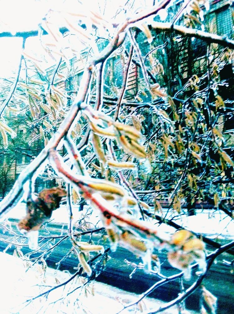 Photograph by Олена Татаровська