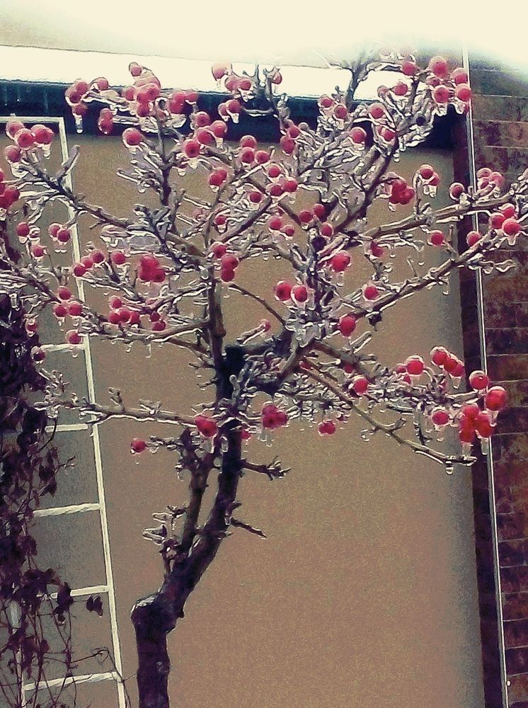 Photograph by Олена Татаровська