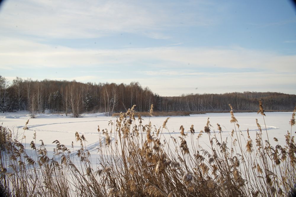 Морозное утро