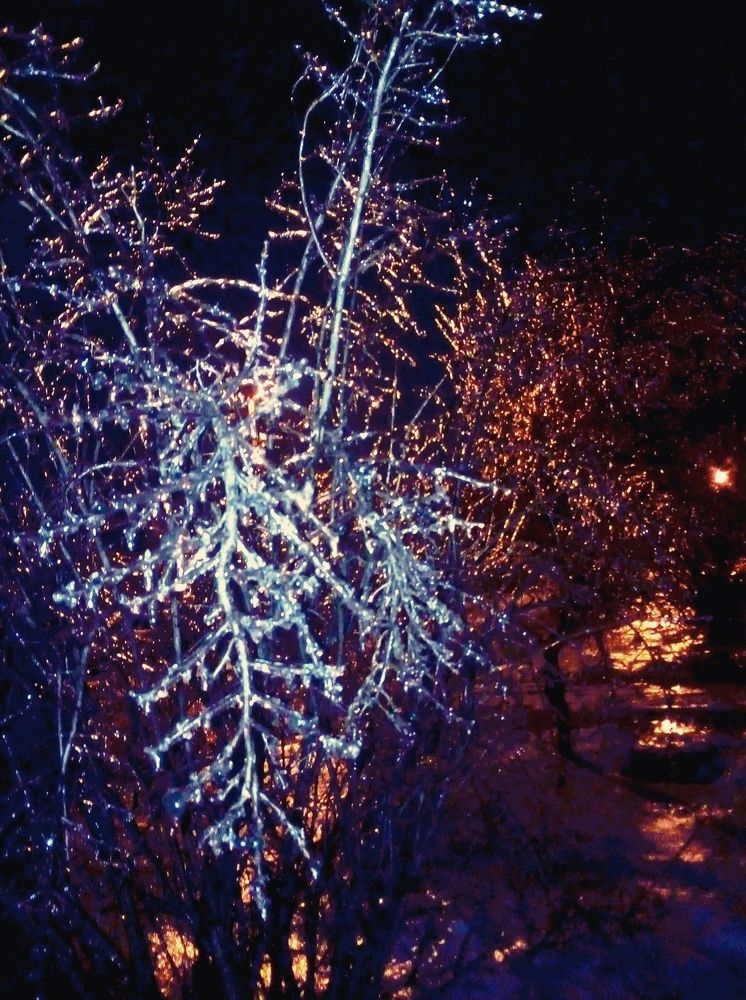 Photograph by Олена Татаровська