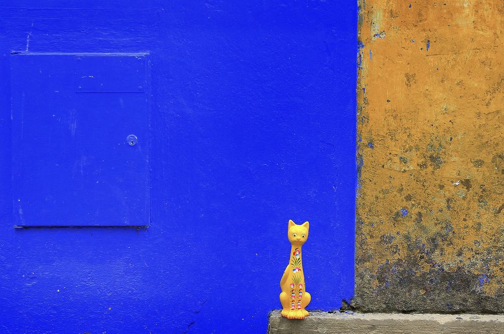 Minimalistic. Colourful facades and a souvenir cat in Portugal.