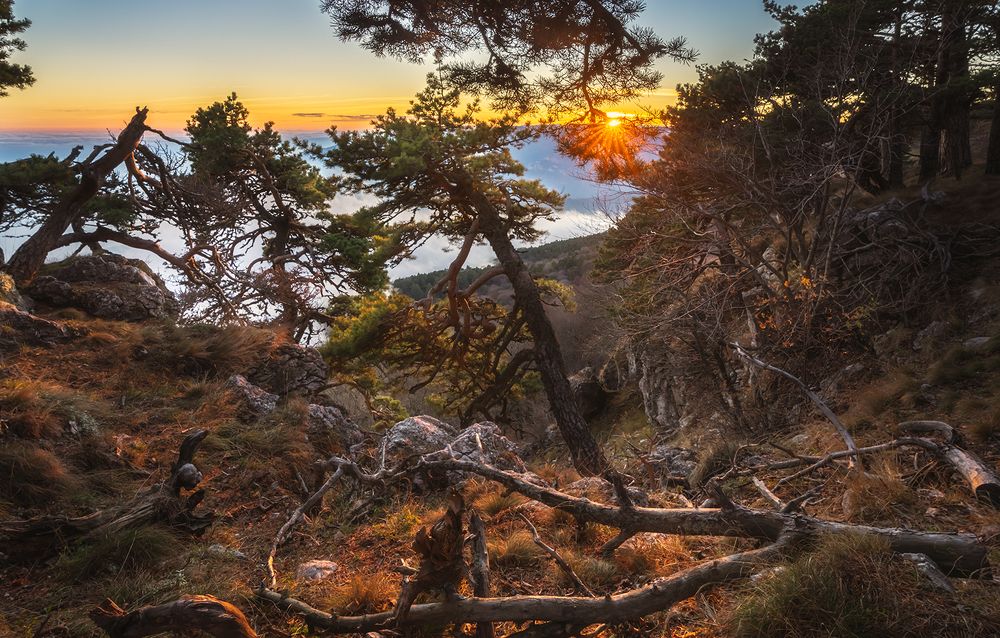 Photograph by Игорь Кляхин