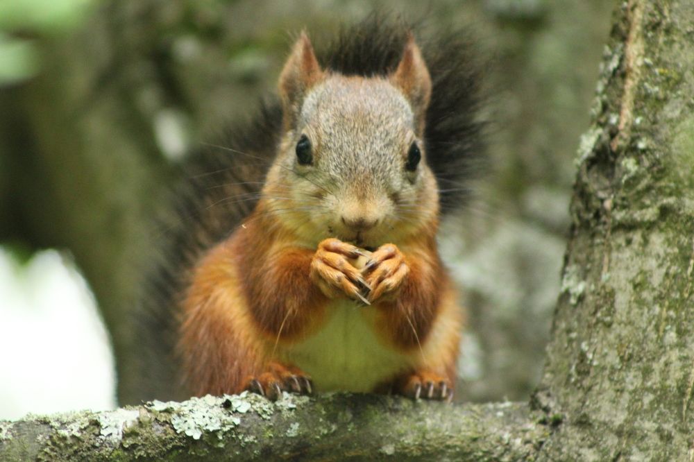 Photograph by Светлана Гмырина