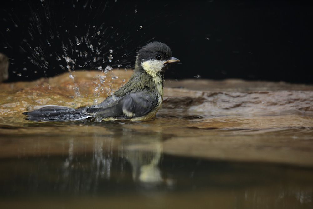 Photograph by Джамалдаев Руслан