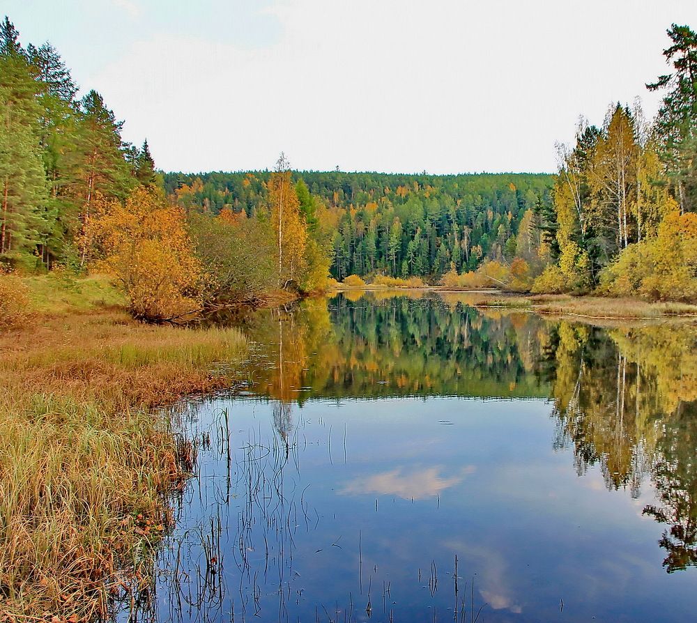 Photograph by Sergei Petrov