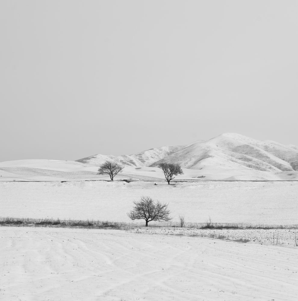 Photograph by Адыл Баетов