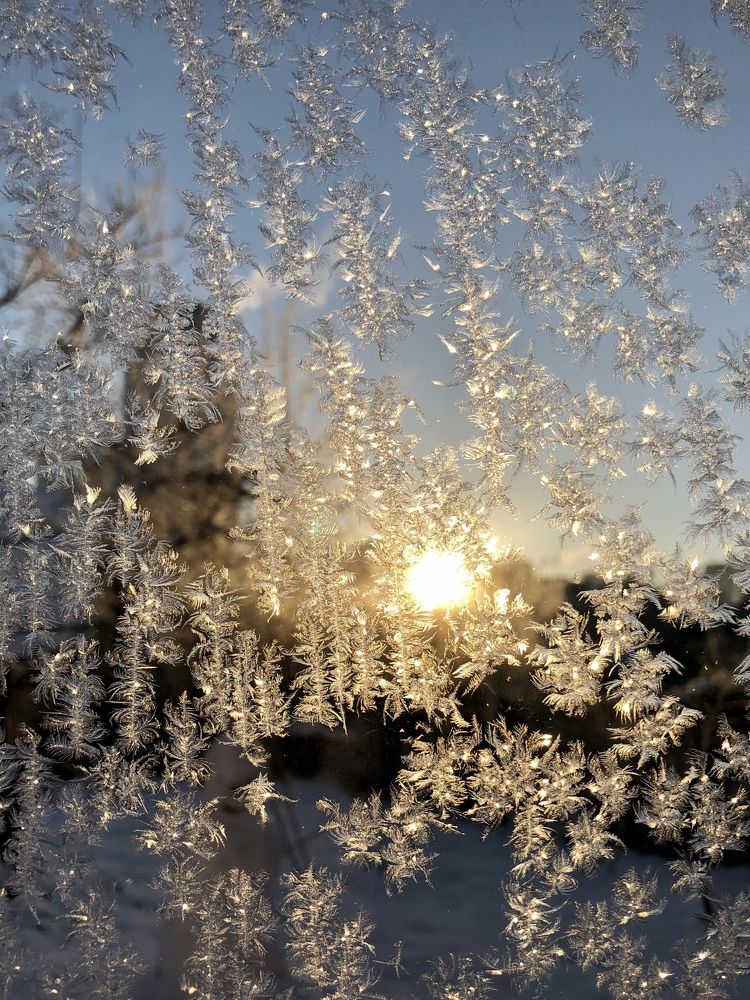 Photograph by Валерия Шишлова