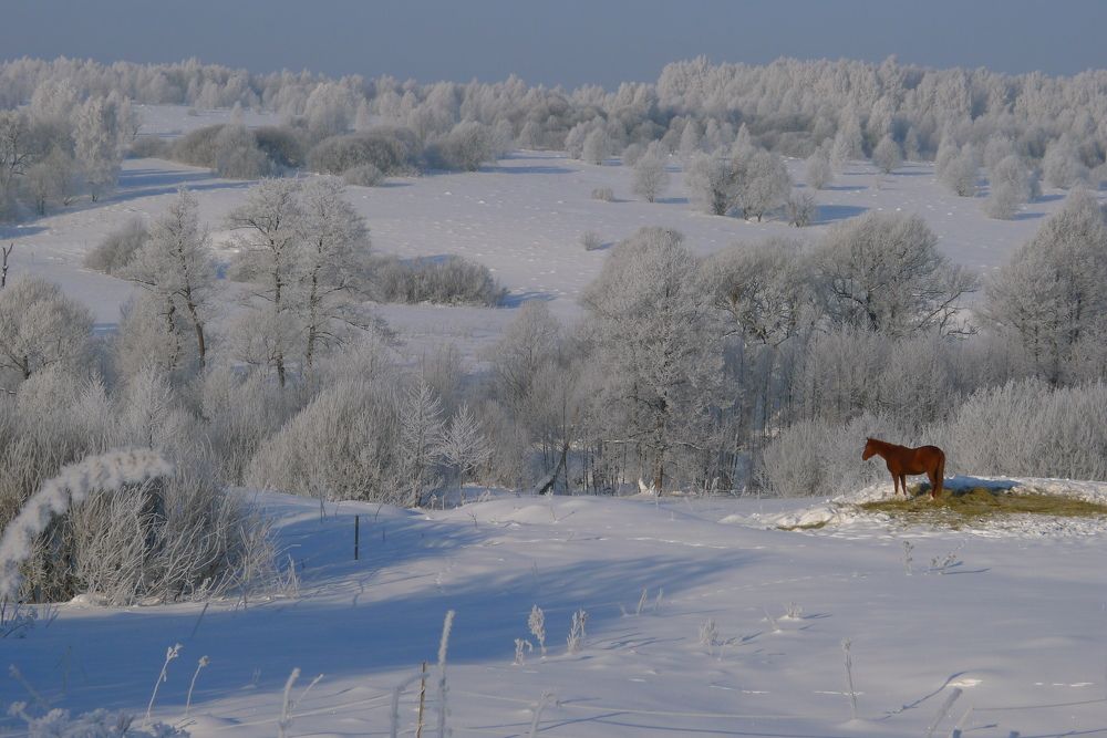 Photo #7196320