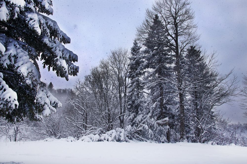 Photograph by Виктория Бережок